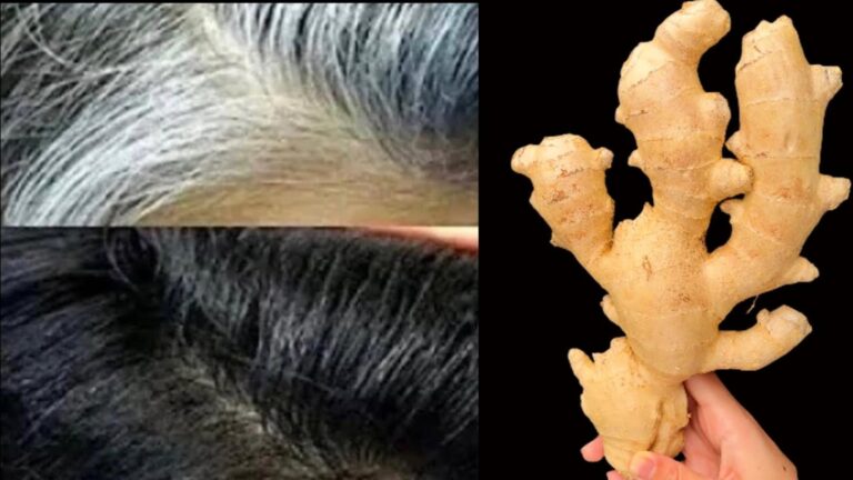 Questo semplice gesto trasforma il tuo capello grigio in una chioma folta…