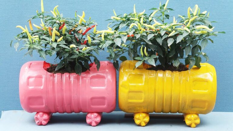 Questo semplice gesto trasforma bottiglie di plastica in splendidi vasi colorati…