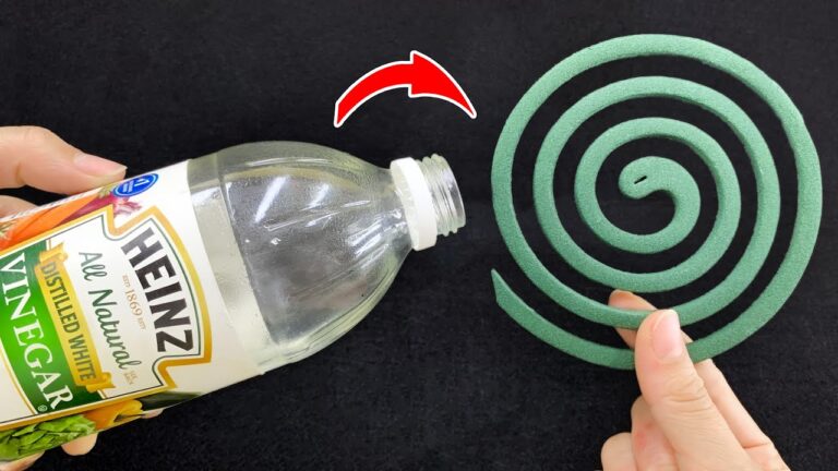 14 trucchi geniali per la casa che non avresti mai immaginato!