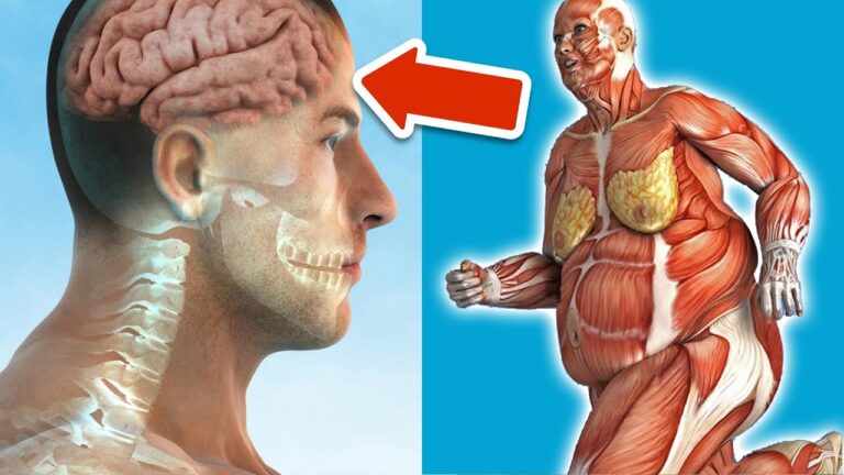 Scopri 10 semplici passi per rimanere in forma ogni giorno!