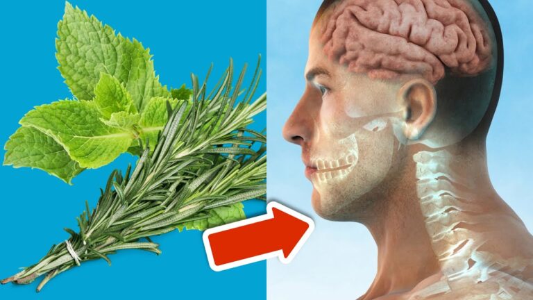 Scopri 5 sorprendenti benefici di rosmarino e menta per la tua salute!