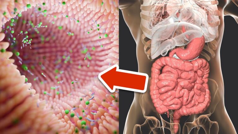 Migliora la tua salute intestinale in 5 semplici passi oggi stesso!