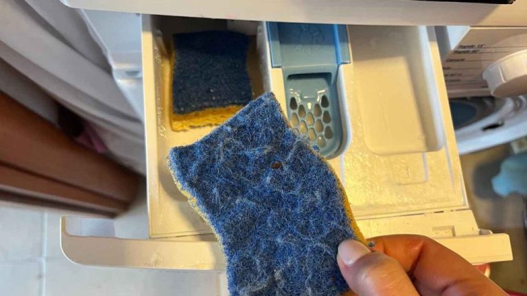 Metti due spugne nella lavastoviglie: mai più panni così puliti