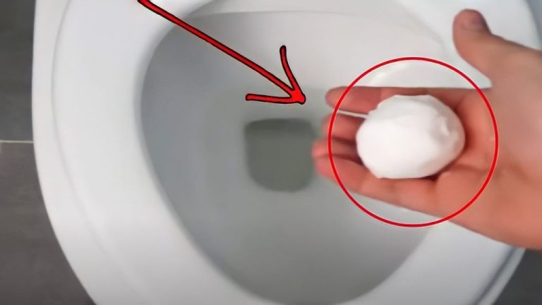 Elimina odori e macchie dalle toilette in pochi minuti con questo trucco