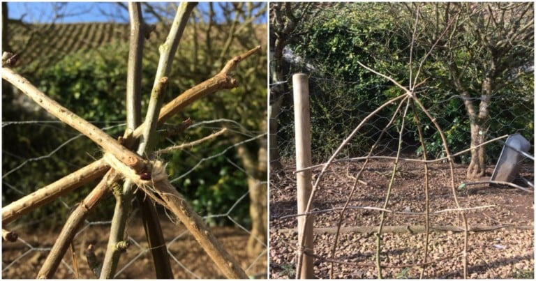 Come creare un trellis rustico con i rami