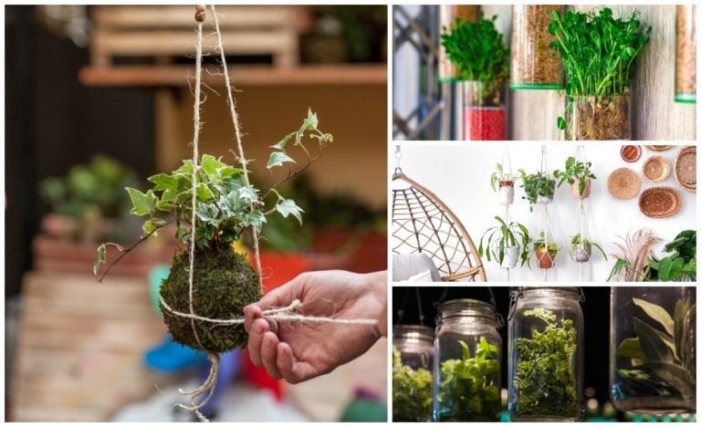 9 idee innovative per piante sospese in spazi piccoli