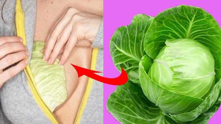 Scopri 5 sorprendenti benefici delle foglie di cavolo per la bellezza della pelle!