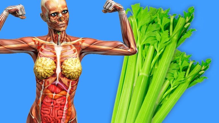 Scopri i 5 incredibili benefici del mangiare sellerio ogni giorno!