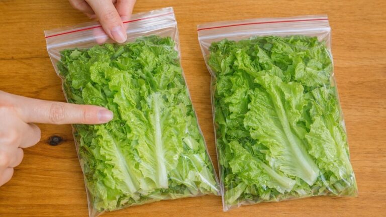 5 modi infallibili per mantenere la lattuga fresca per settimane!