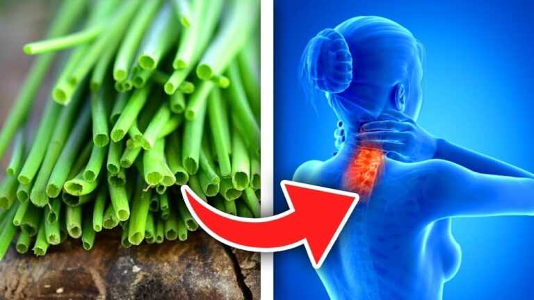 Scopri 7 incredibili benefici del consumo quotidiano di erbe fresche!