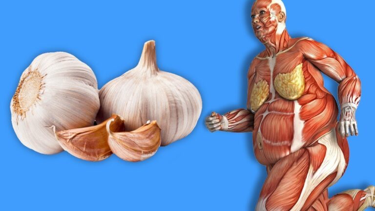 Scopri 5 sorprendenti benefici di mangiare aglio e miele ogni giorno!