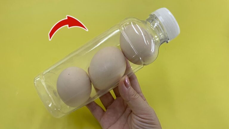 12 idee geniali per riciclare le bottiglie di plastica e risparmiare!
