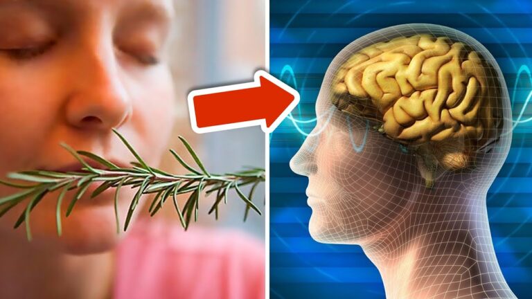 Migliora la tua memoria del 75% con questo straordinario rimedio naturale